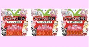 【数量限定販売】クリスマスメガ盛り福袋 ラッピング付き