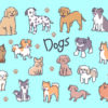 色々な犬種のイラスト